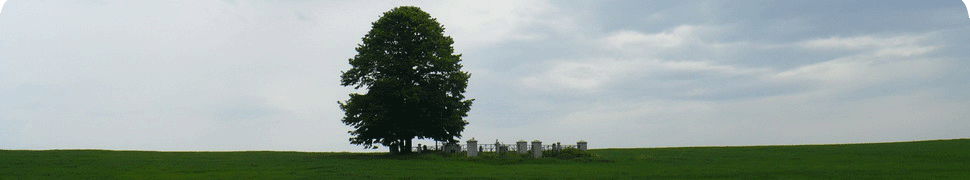 Cmentarze wojenne